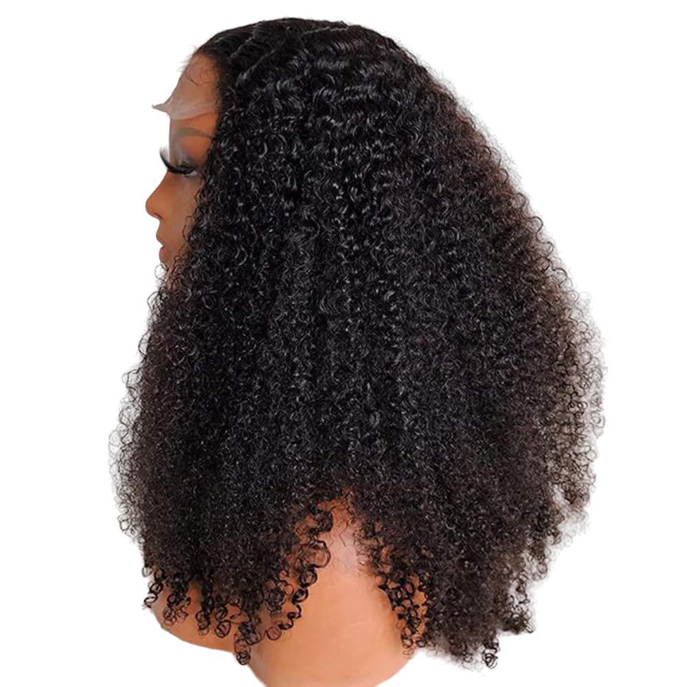 Naomi Afro Curly Virgin Wig - BB Collections Hair