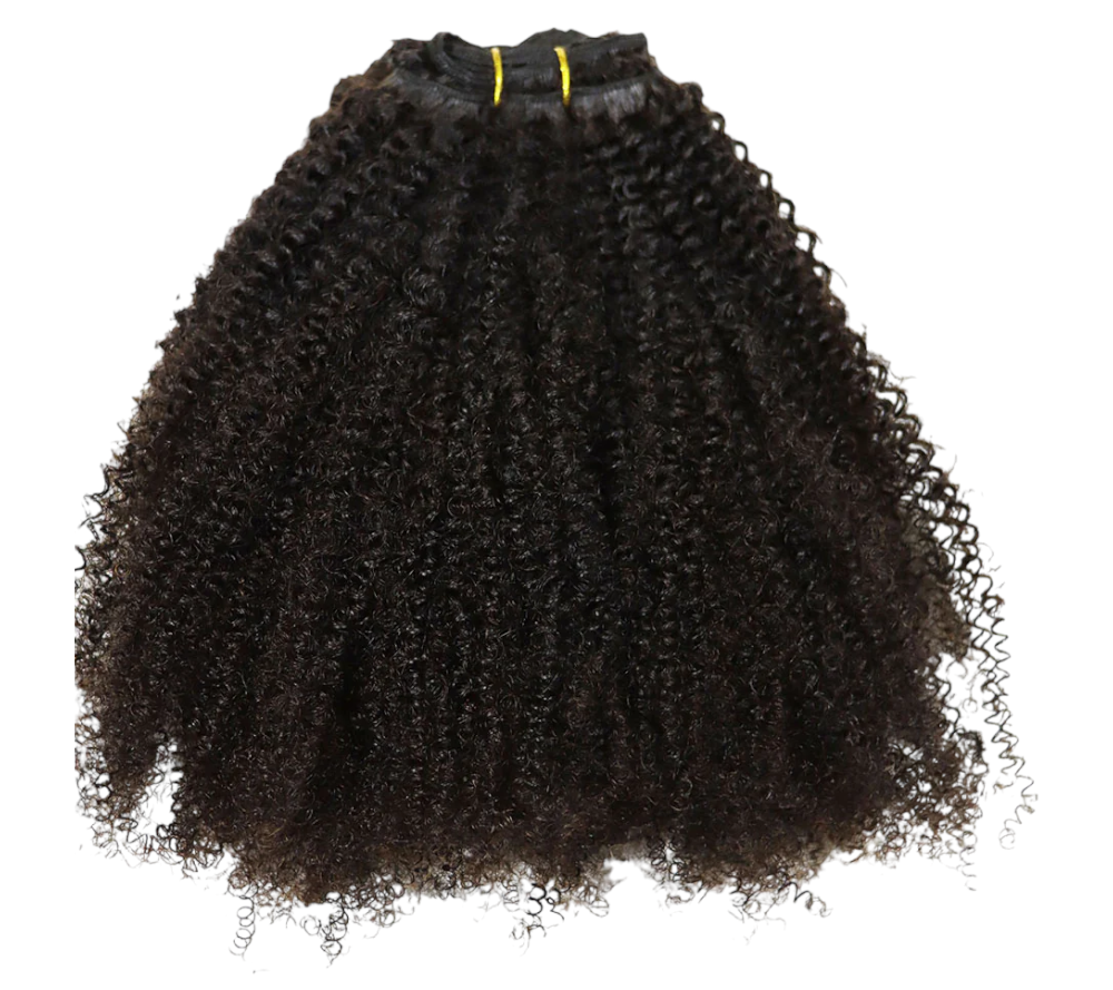 Afro Curly Bundles & Closure Set - BB Collections Hair