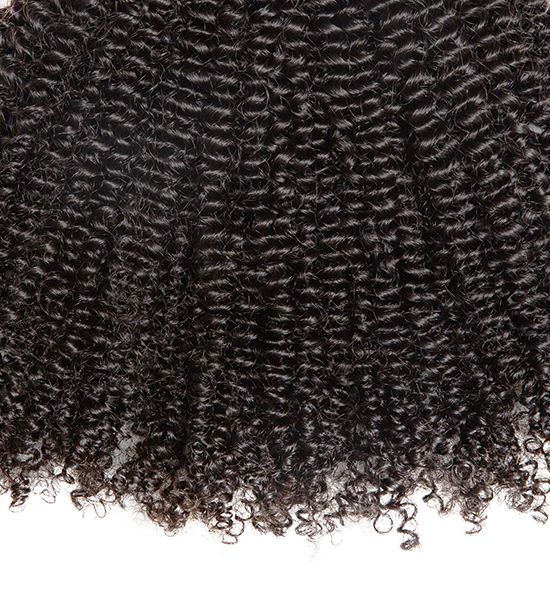 Coarse Kinky Curly Clip-Ins (Natural Hair/African Amer.) - BB Collections Hair