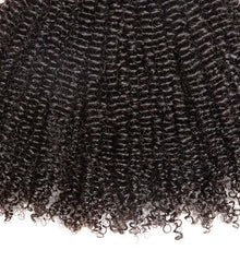 Coarse Kinky Curly Clip-Ins (Natural Hair/African Amer.) - BB Collections Hair