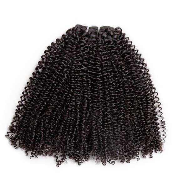 Coarse Kinky Curly Clip-Ins (Natural Hair/African Amer.) - BB Collections Hair