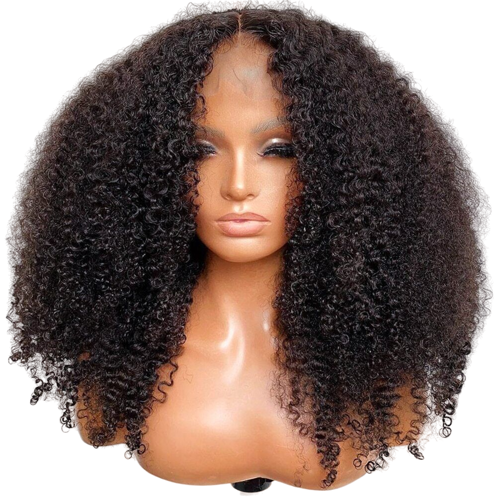 Naomi Afro Curly Virgin Wig